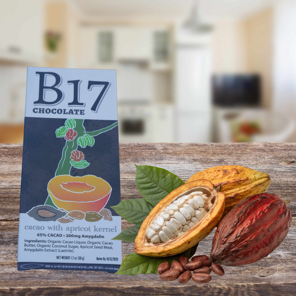Holiday Gift Bundle - Includes 4 bars B17 Chocolate, One Can Eat Apricot Seeds, and 6 ounces Organic Black Garlic
